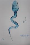 Plakat przedstawiający plemnika w rzucie z góry, na szarym tle, którego ciało jest całe przeźroczyste i wypełnione wodą. W prawym dolnym rogu niebieski napis "WATER IS LIFE"